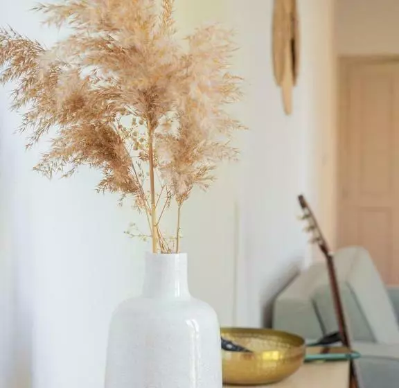 Le Terracotta   Appartement Centre Ville Avec Balcon