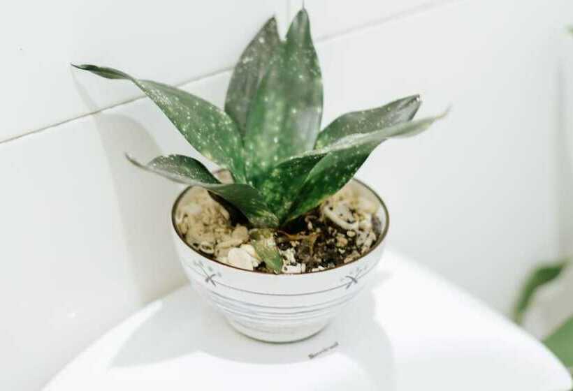 Marina Breeze Resort