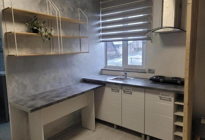 پانسیون Zenlux