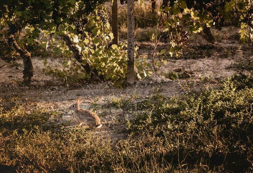 Villa Vinory Bricco Di Nizza