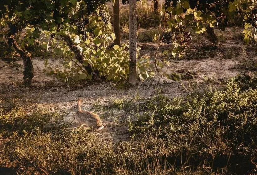 Villa Vinory Bricco Di Nizza