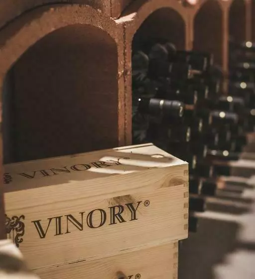 Villa Vinory Bricco Di Nizza