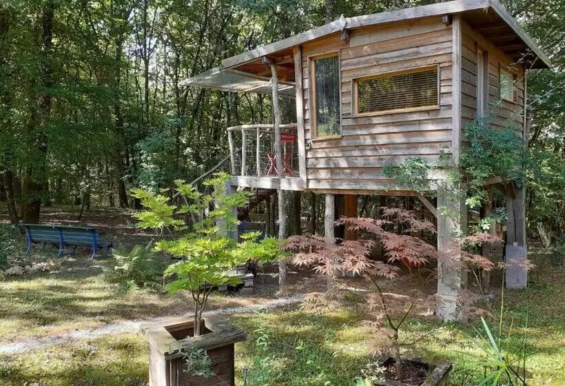 ベッドアンドブレックファースト La Cabane De L Oiseau