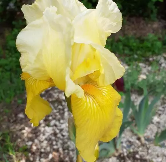 ベッドアンドブレックファースト La Cabane De L Oiseau