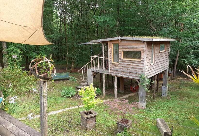 צימר La Cabane De L Oiseau