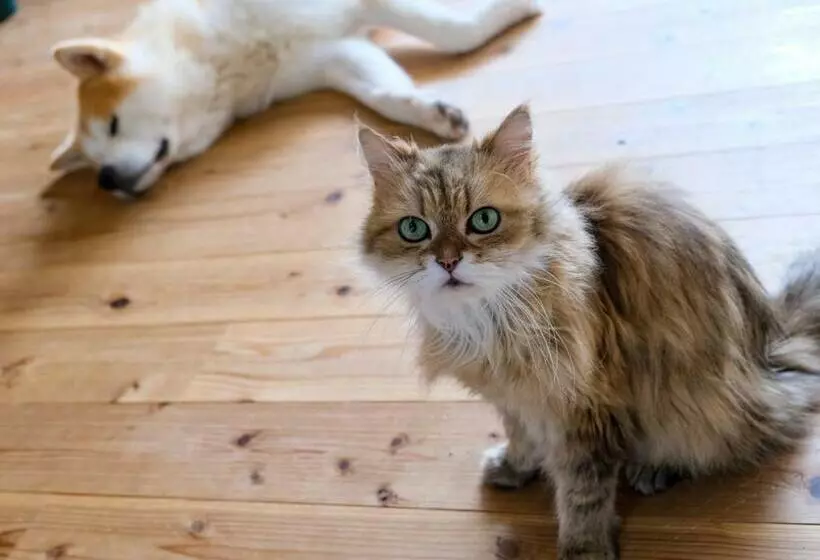 Majatalo まろや四季