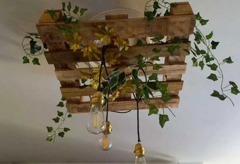 El Rincón De Chavely