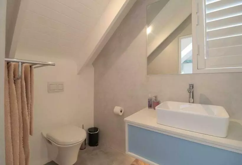 Klipmossel   Bek Bay