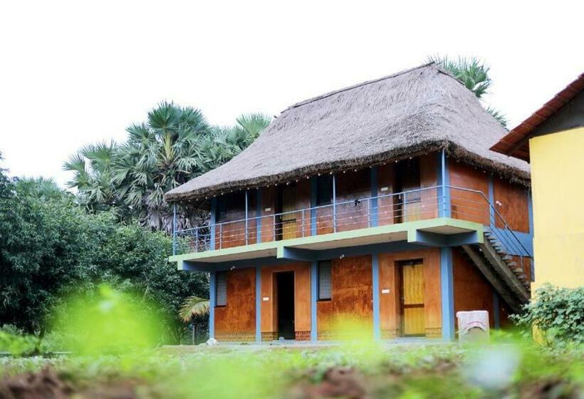 ホテル Time Travellers Farm Stay