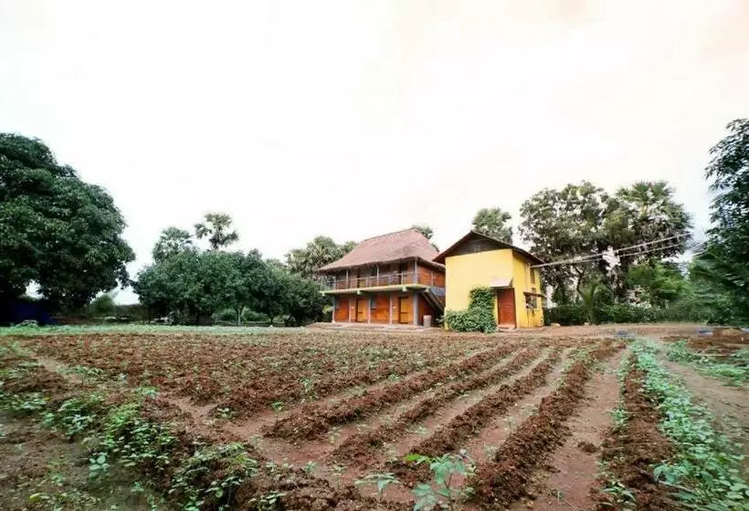 هتل Time Travellers Farm Stay