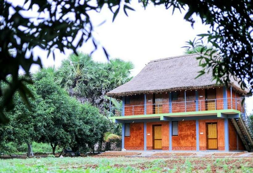 ホテル Time Travellers Farm Stay