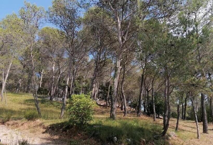 ペンション Le Mas Blanc