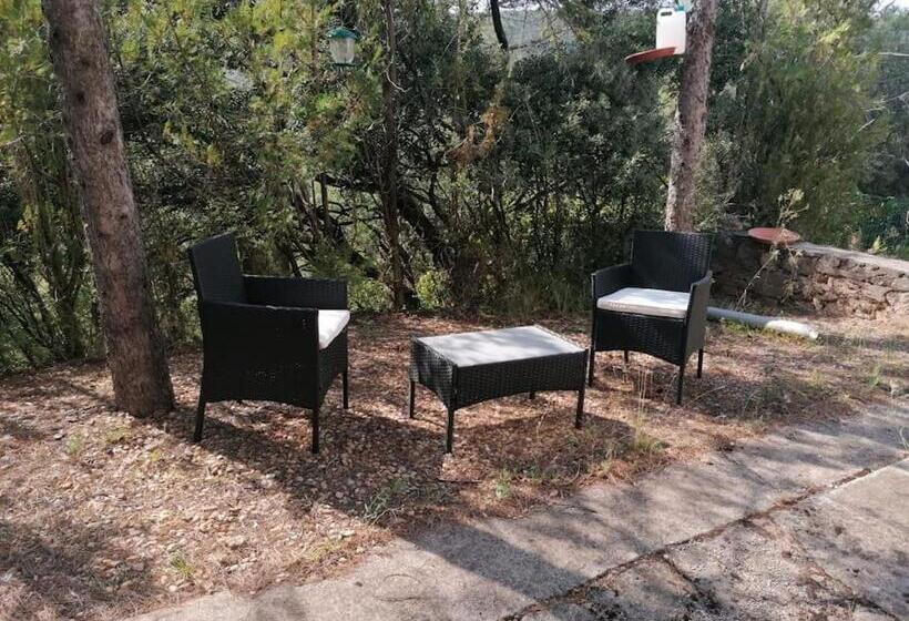 ペンション Le Mas Blanc