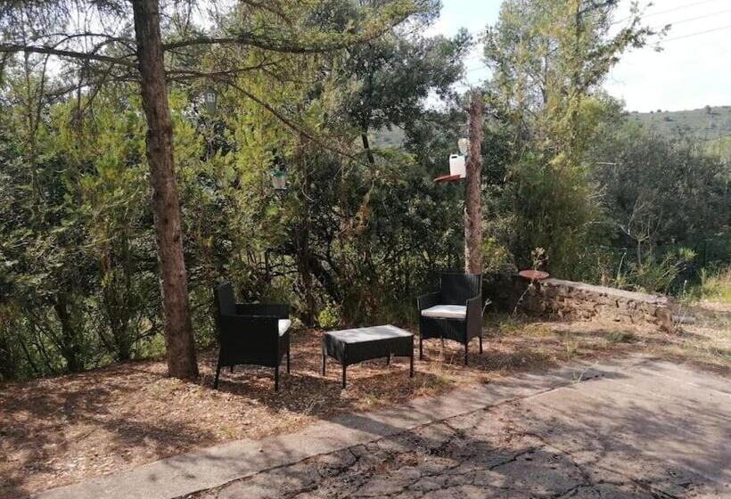 ペンション Le Mas Blanc