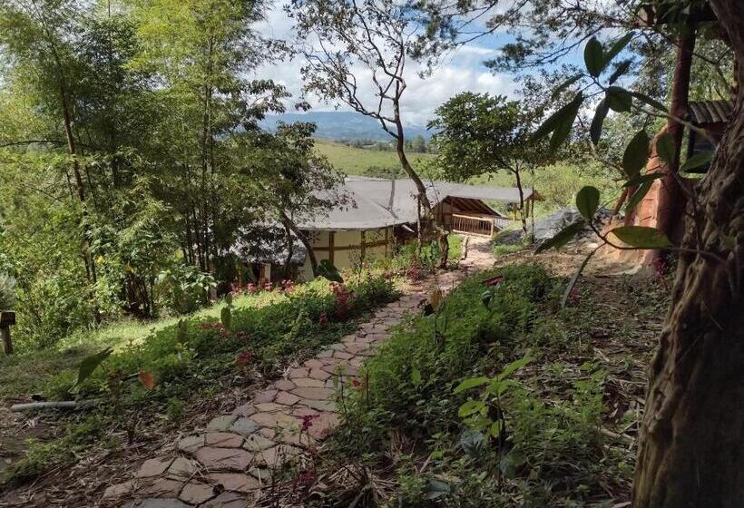 Pension Hostal Sueño Paraiso Observatorio Astronómico