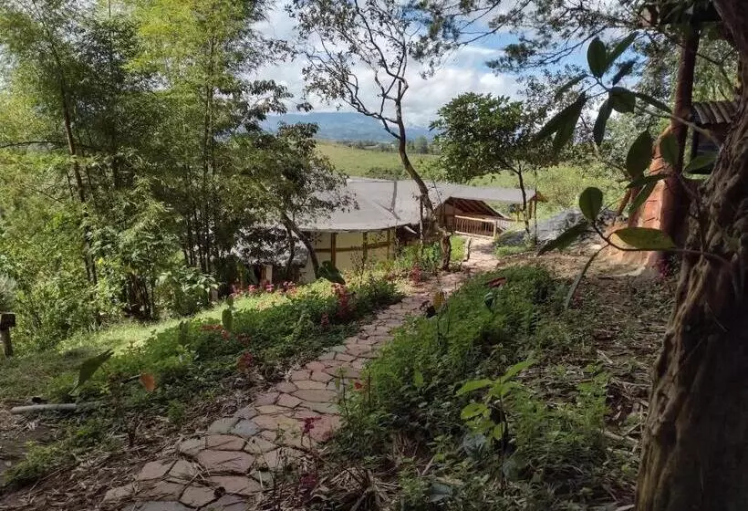 ペンション Hostal Sueño Paraiso  Observatorio Astronómico