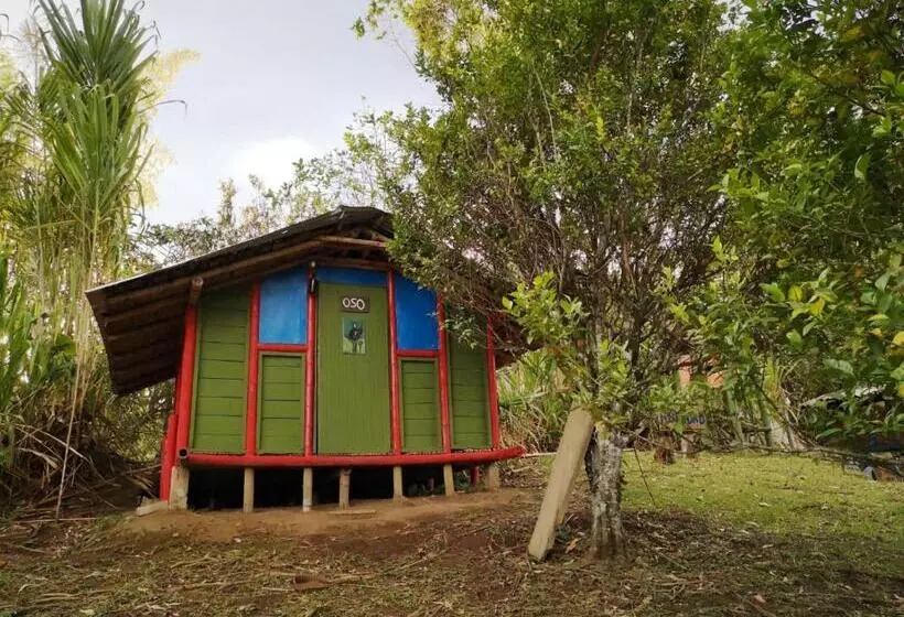 ペンション Hostal Sueño Paraiso  Observatorio Astronómico