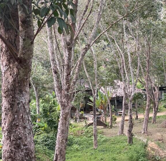 Resort Koh Mook Mountain View