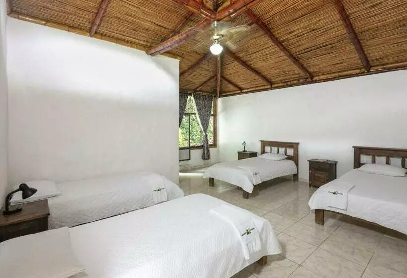 ホテル Rionegro Ecolodge