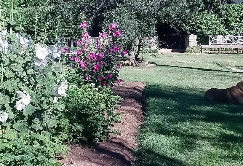 Aamiaismajoitus (B&B) Black Cottage