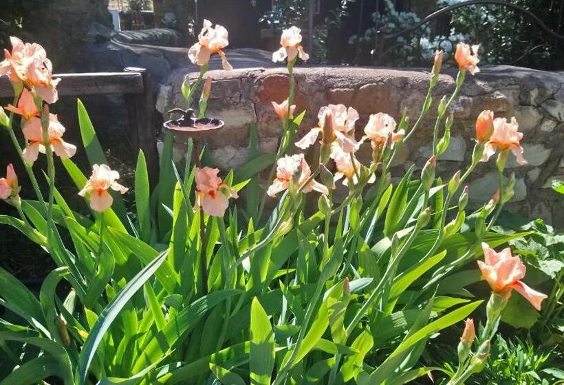 Bed and Breakfast Black Cottage