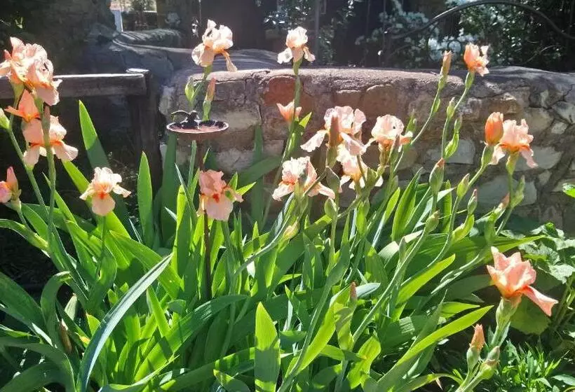 Aamiaismajoitus (B&B) Black Cottage