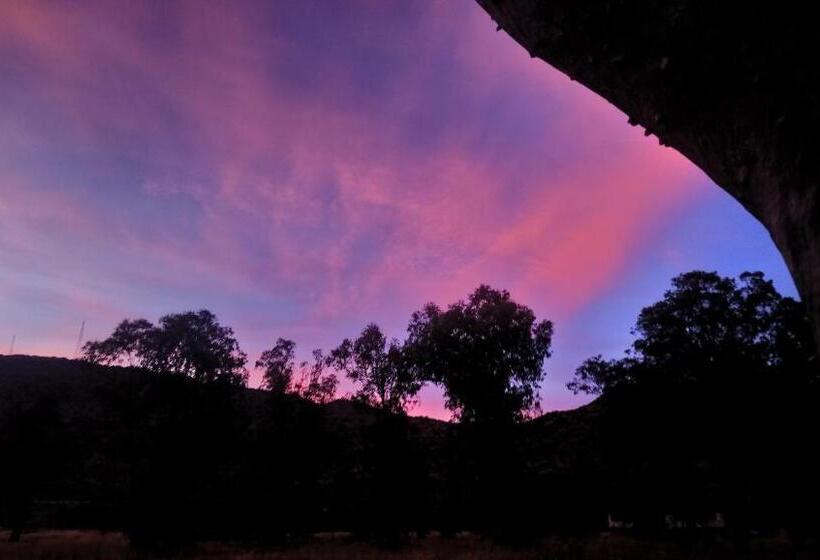 Bed and Breakfast Black Cottage