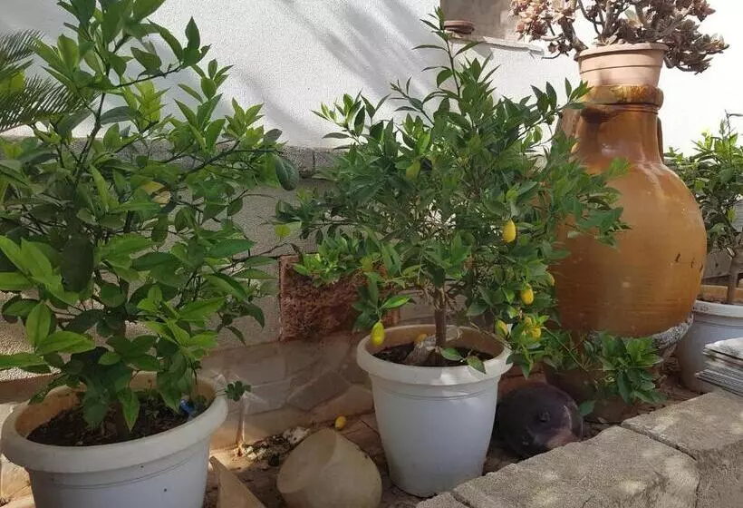 ベッドアンドブレックファースト Lemon Suite Luxury