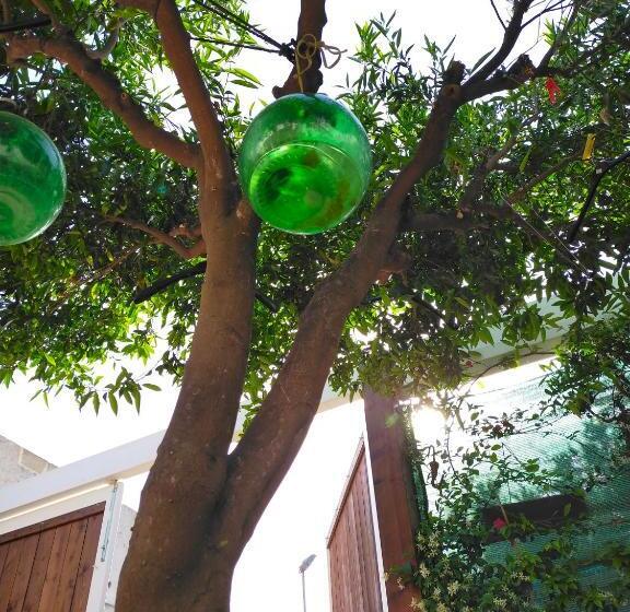 ベッドアンドブレックファースト Lemon Suite Luxury