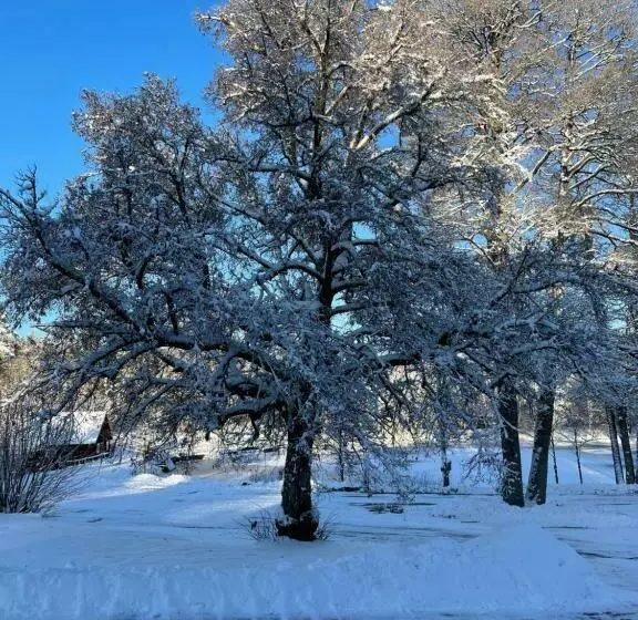 Aamiaismajoitus (B&B) Yaberg Affären