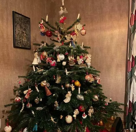 Aamiaismajoitus (B&B) Yaberg Affären