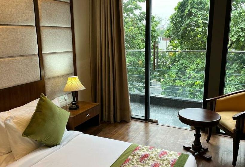 Ip Royal Hotel   New Delhi