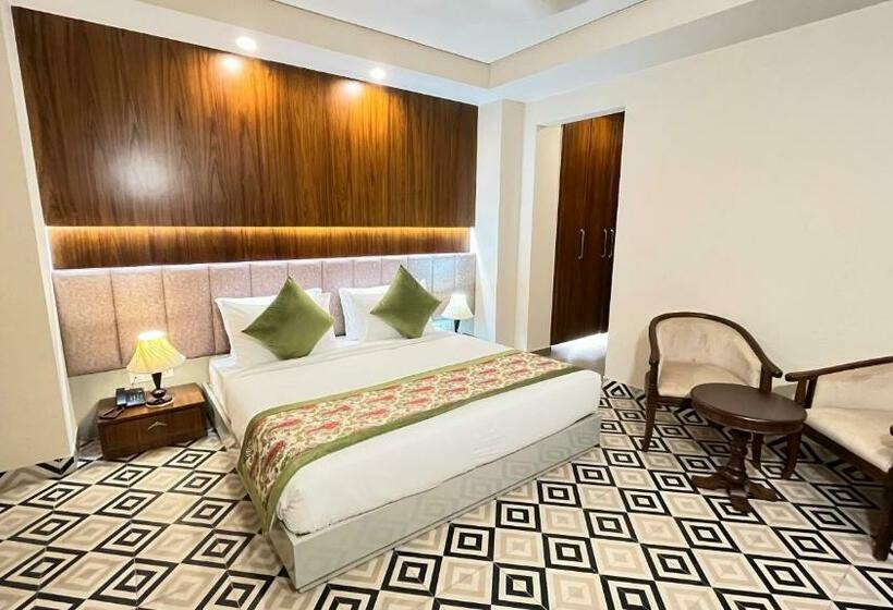 Ip Royal Hotel   New Delhi