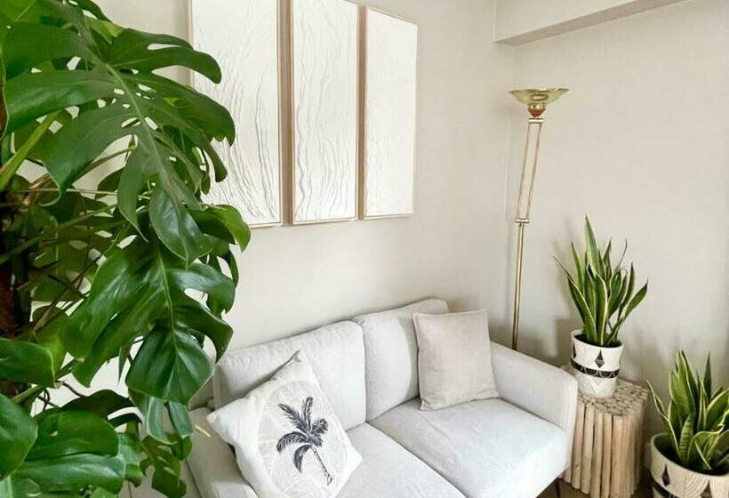 L Artistik   Appartement 5 Min à Pied Du Port Et Parking Privé