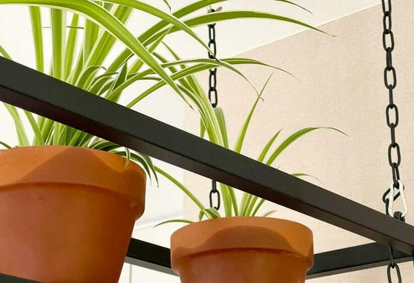 L Artistik   Appartement 5 Min à Pied Du Port Et Parking Privé