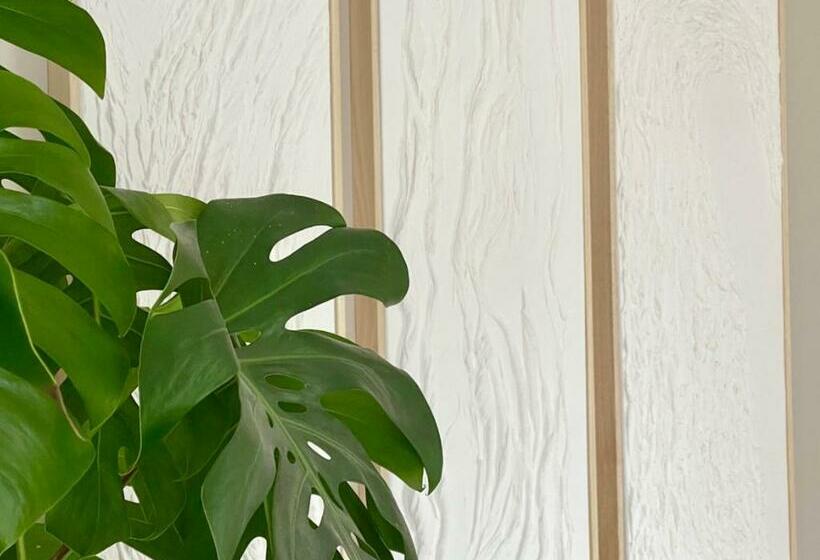 L Artistik   Appartement 5 Min à Pied Du Port Et Parking Privé