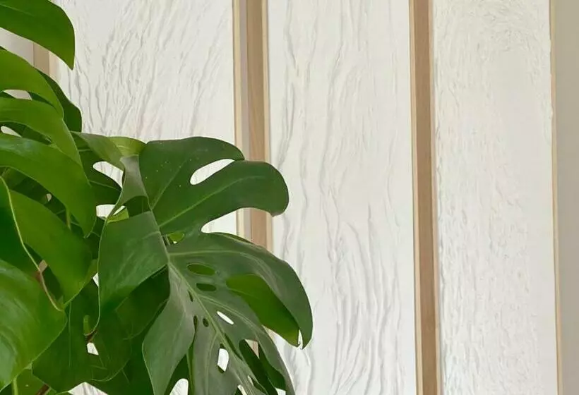 L Artistik   Appartement 5 Min à Pied Du Port Et Parking Privé
