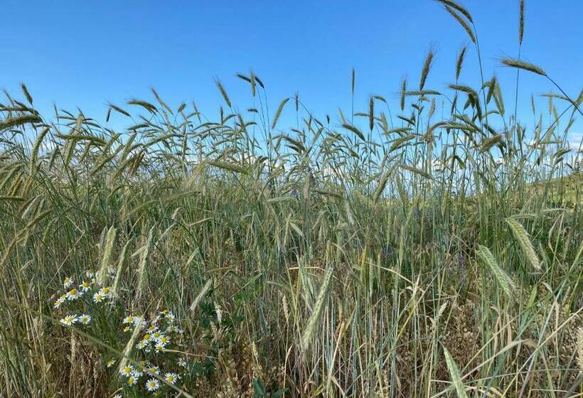 Nocleg ze śniadaniem Arman S House