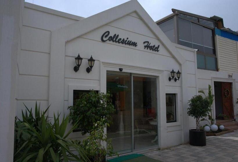 تختخواب و صبحانه Collesium Garden