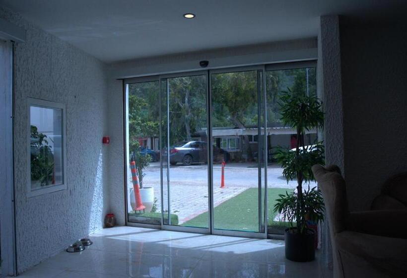 تختخواب و صبحانه Collesium Garden