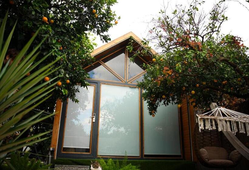 تختخواب و صبحانه Collesium Garden