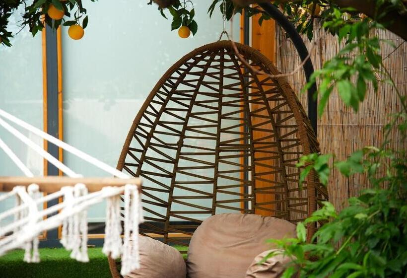 تختخواب و صبحانه Collesium Garden