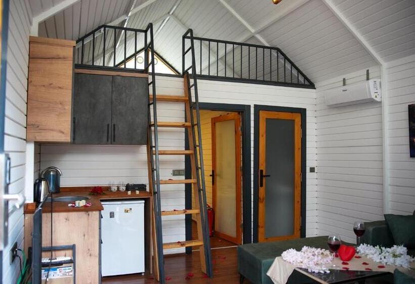 تختخواب و صبحانه Collesium Garden