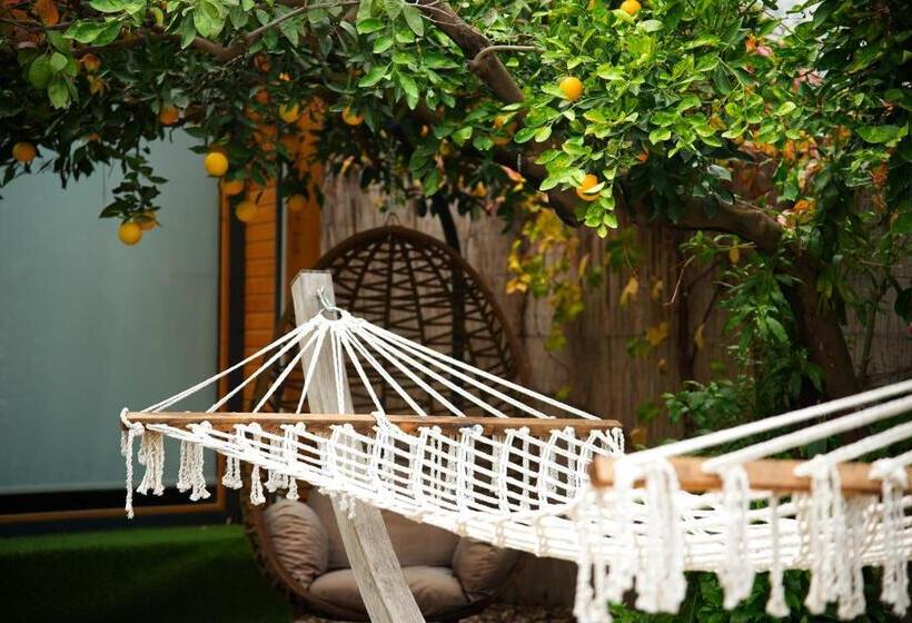 تختخواب و صبحانه Collesium Garden