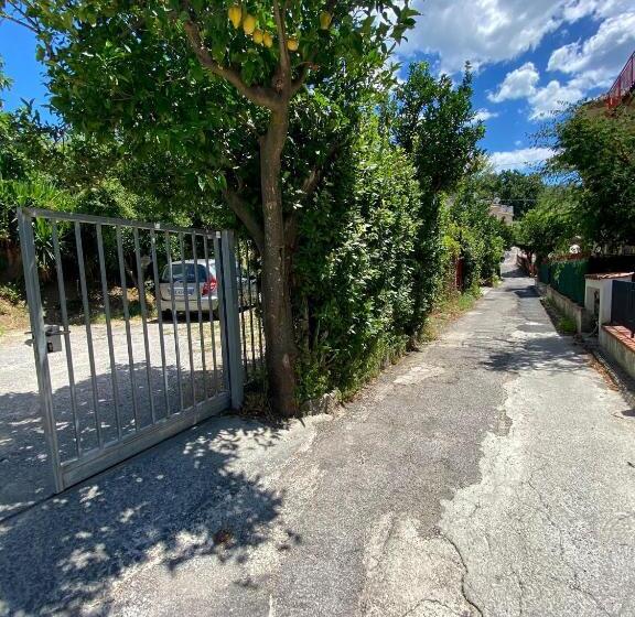 צימר Seascape   Noemi S Rooms