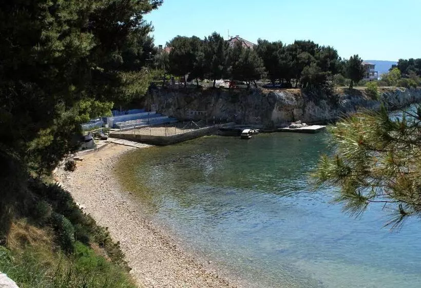 ベッドアンドブレックファースト Apartments And Rooms With Wifi Zadar   14528