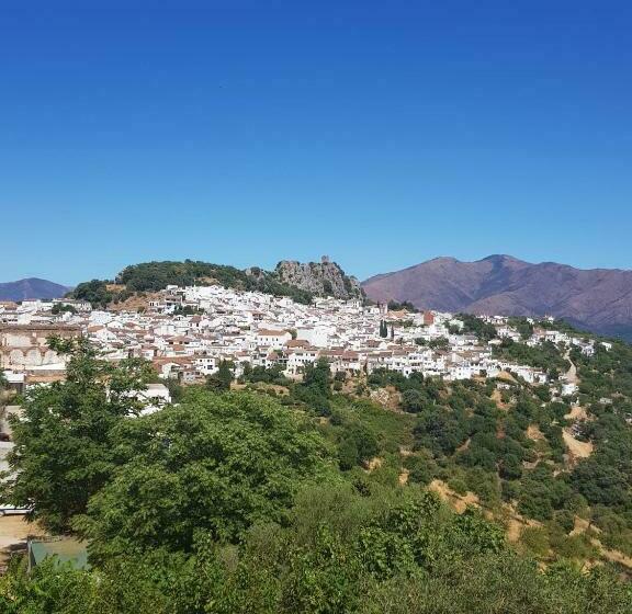 بنسيون Hostal Moncada