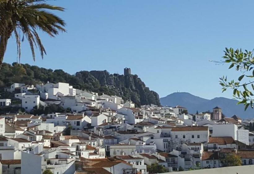 بنسيون Hostal Moncada