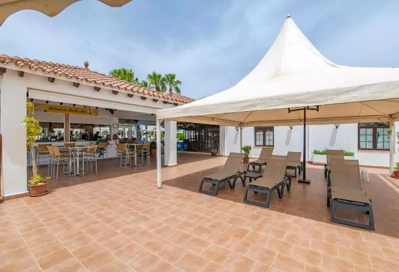 Siesta Mar Originals