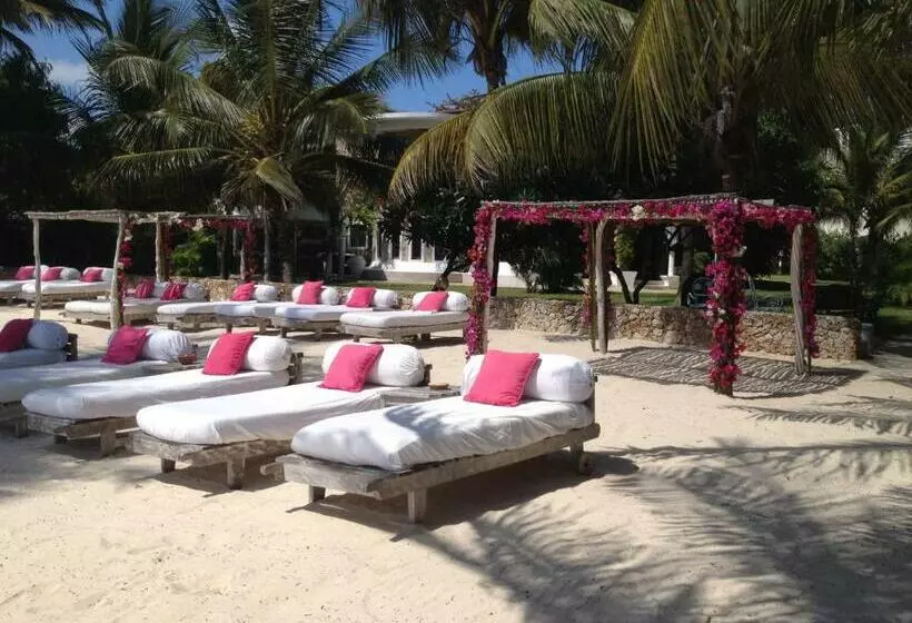 Stefania S B&b